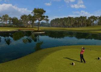 tiger woods pga