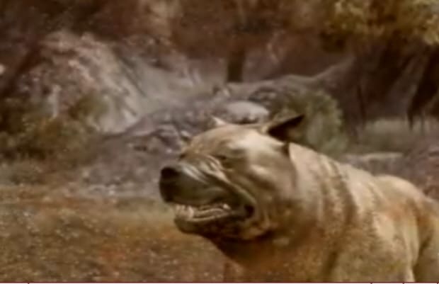 dragon age origins dog