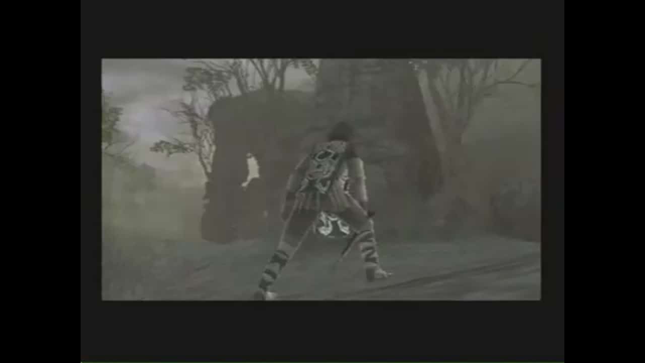 shadow of the colossus ps2 component